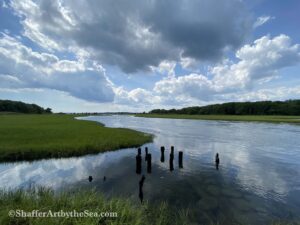 Read more about the article Zeek’s Creek, Jamestown, RI