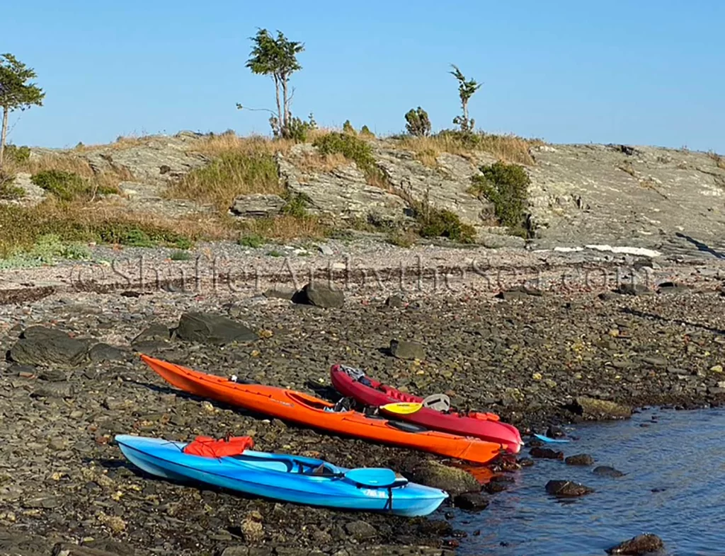 Kayaks on the water's edge