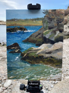 Read more about the article Landscape painting at Fort Wetherill, Jamestown, RI