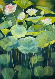 Plein Air Watercolor of Lotus Flowers