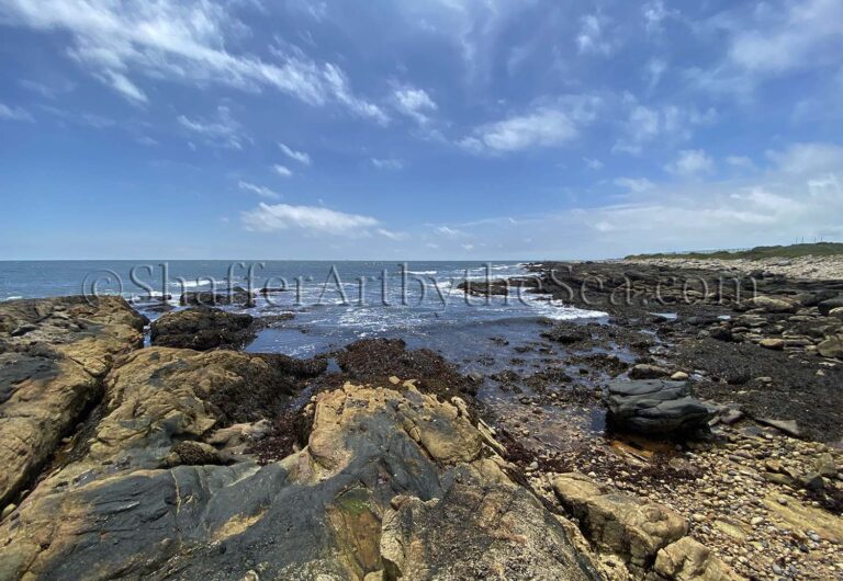 Read more about the article Painting Waves at Whale Rock Preserve