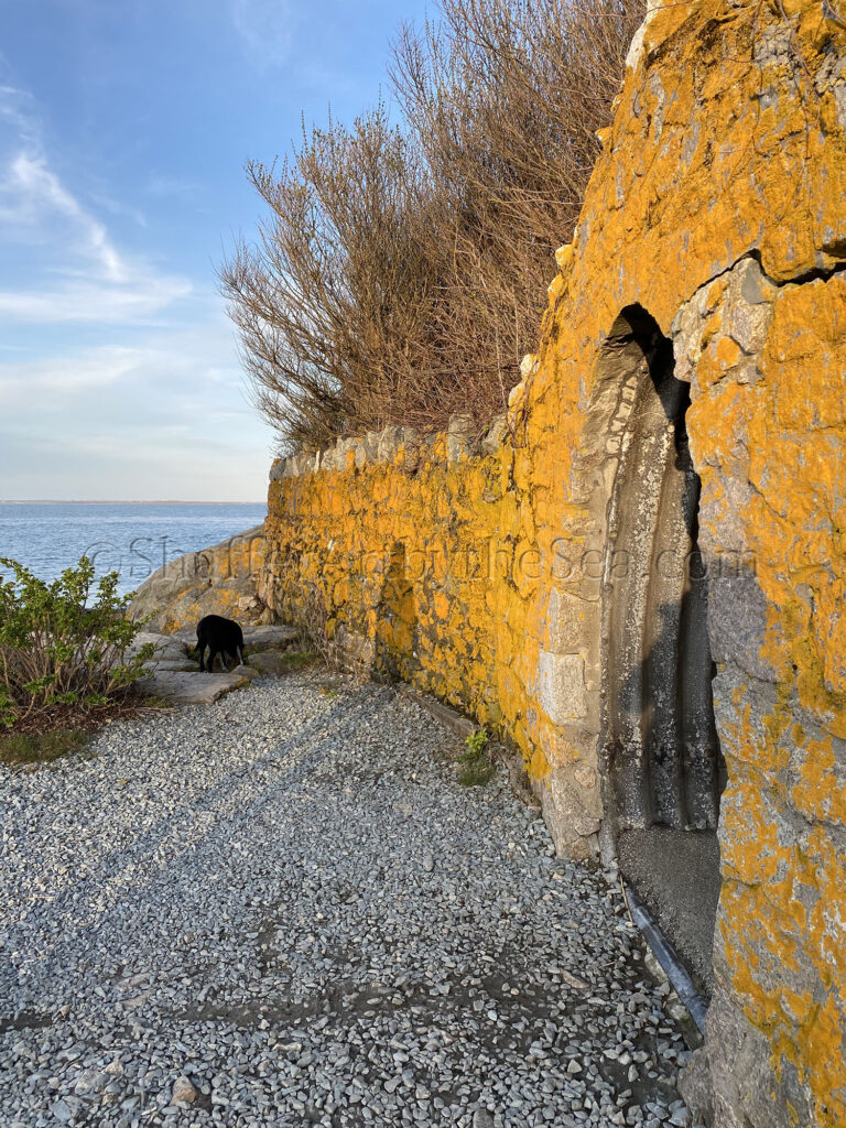 Cliff Walk Tunnel, Newport, Rhode Island