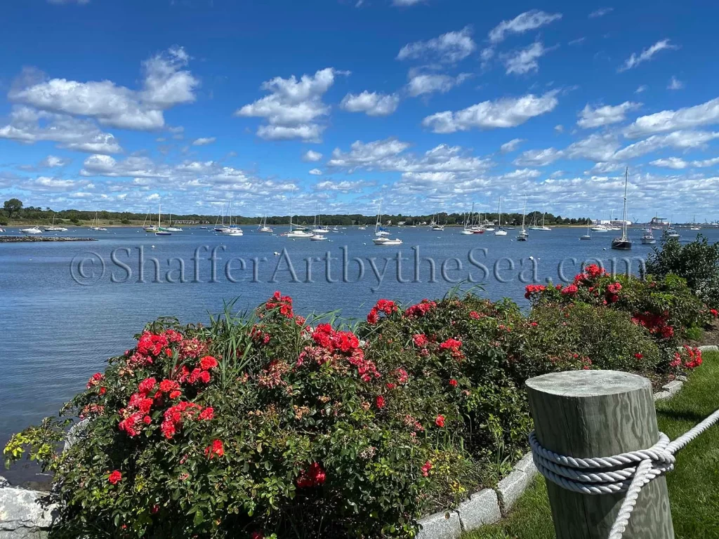 The view from Gardner's Wharf