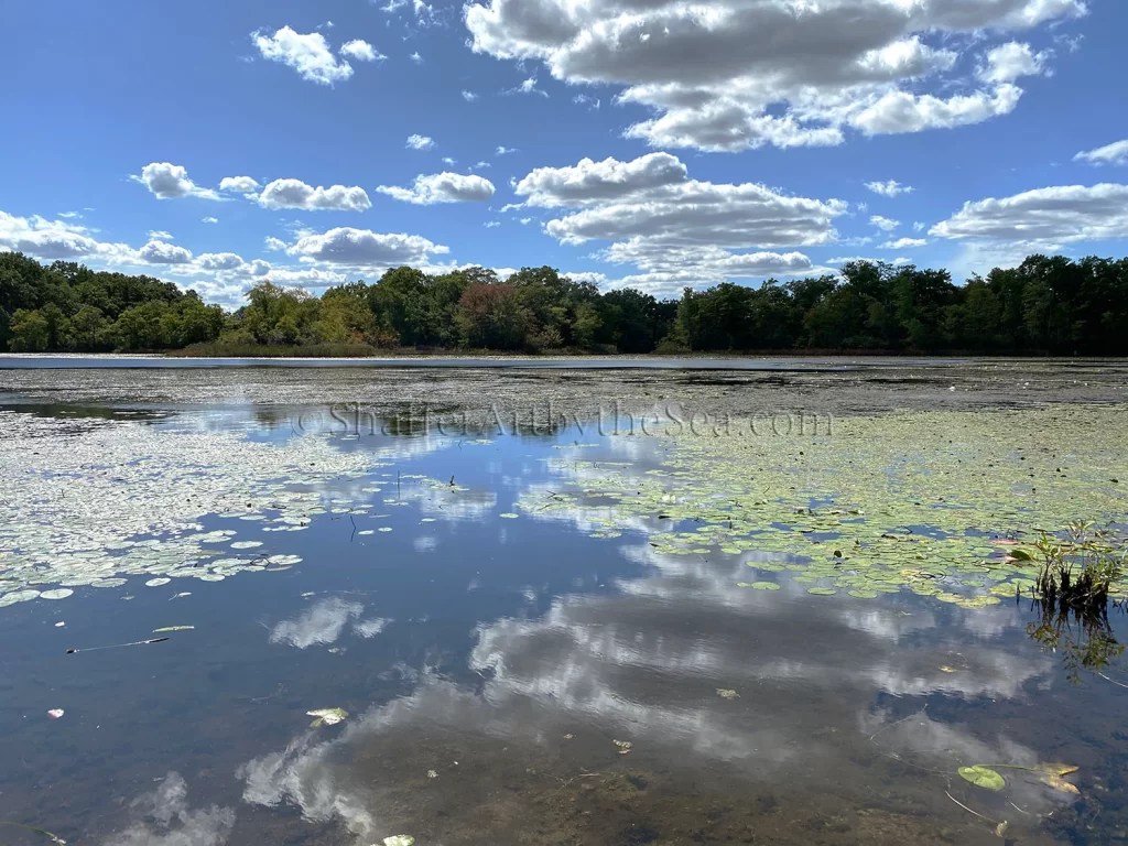 Belleville Pond, North Kingstown