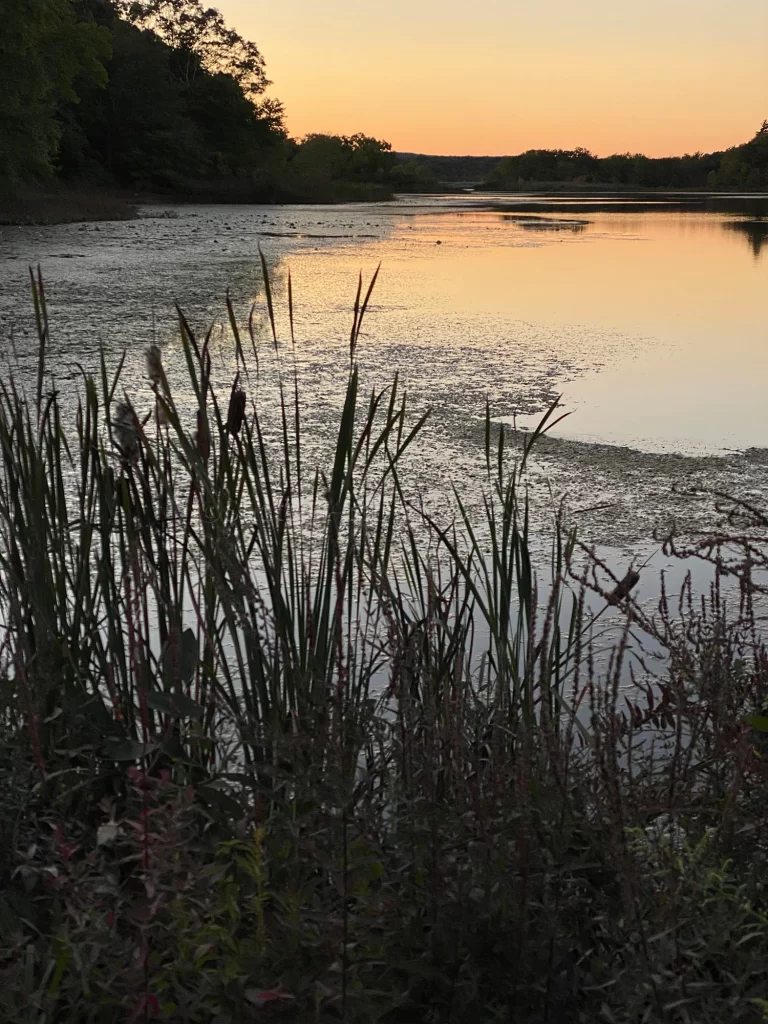 Sunset Belleville Pond