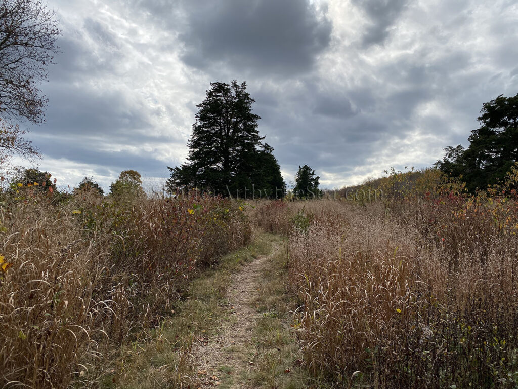 Garrison House Acres Trail, Narrow River, Rhode Island