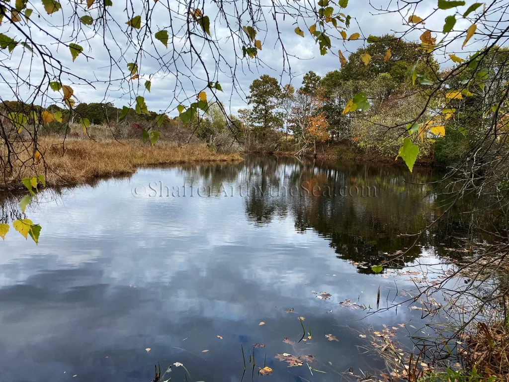 Garrison House Acres Trail, Narrow River, Rhode Island