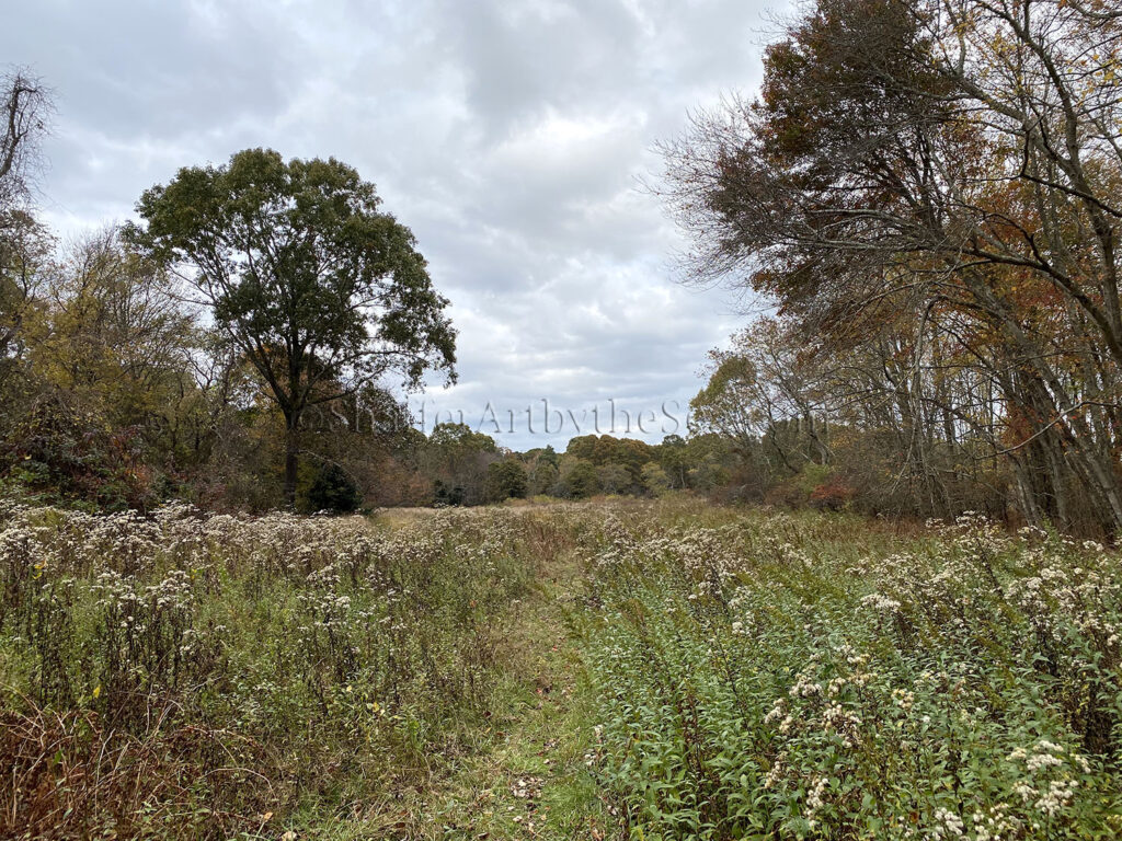 Garrison House Acres Trail, Narrow River, Rhode Island