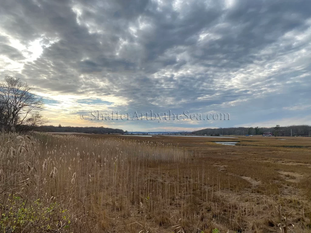 Conanicut Island Sanctuary, Jamestown, Rhode Island