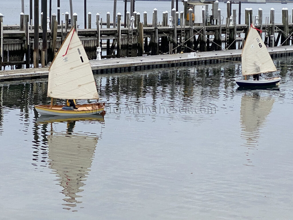 Conanicut Harbor boats