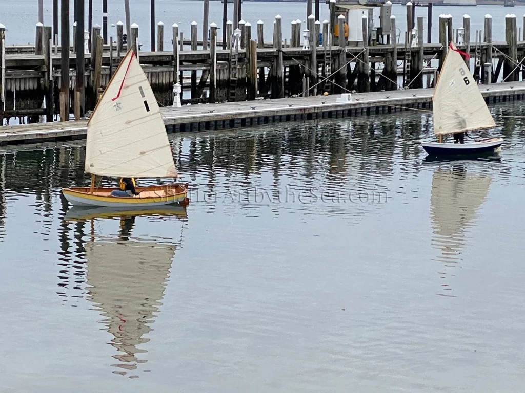 Conanicut Harbor boats