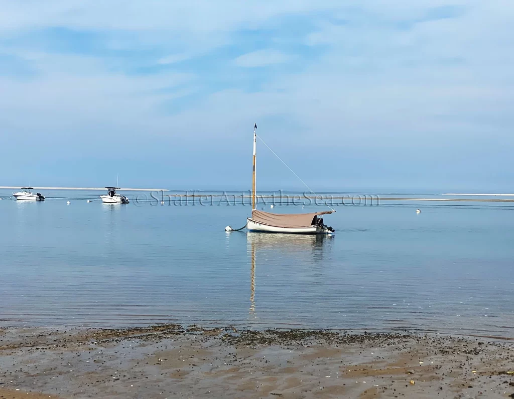 Catboat, Cape Cod