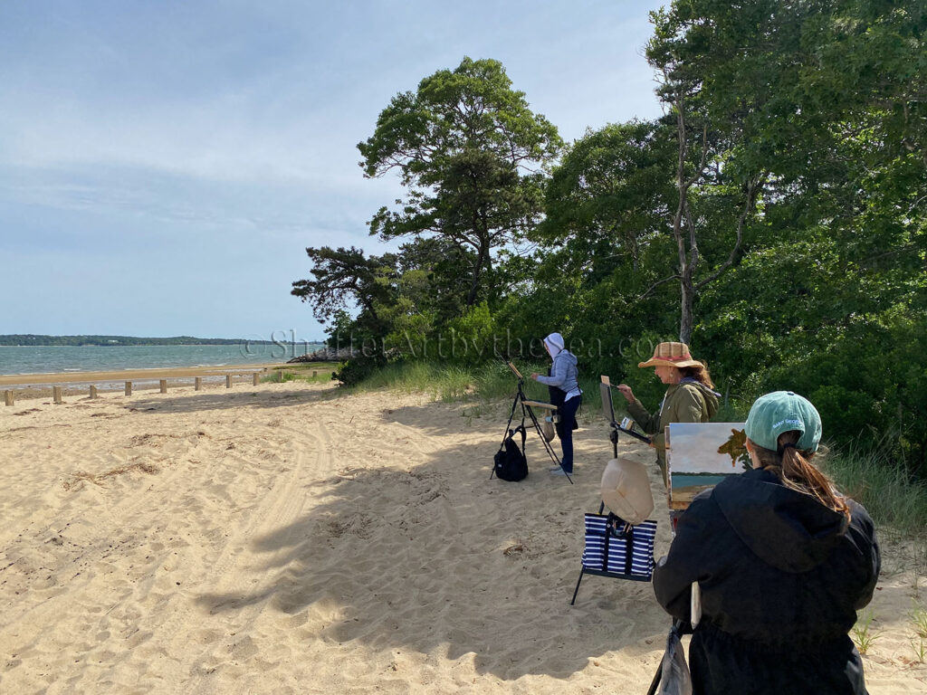 Jackknife Cove, Cape Cod