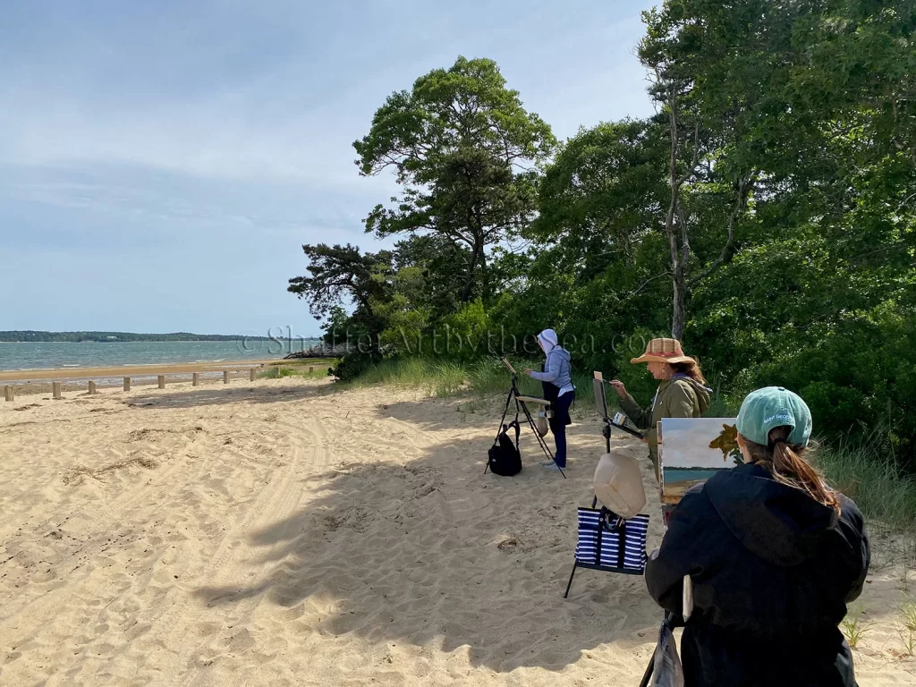 Jackknife Cove, Cape Cod