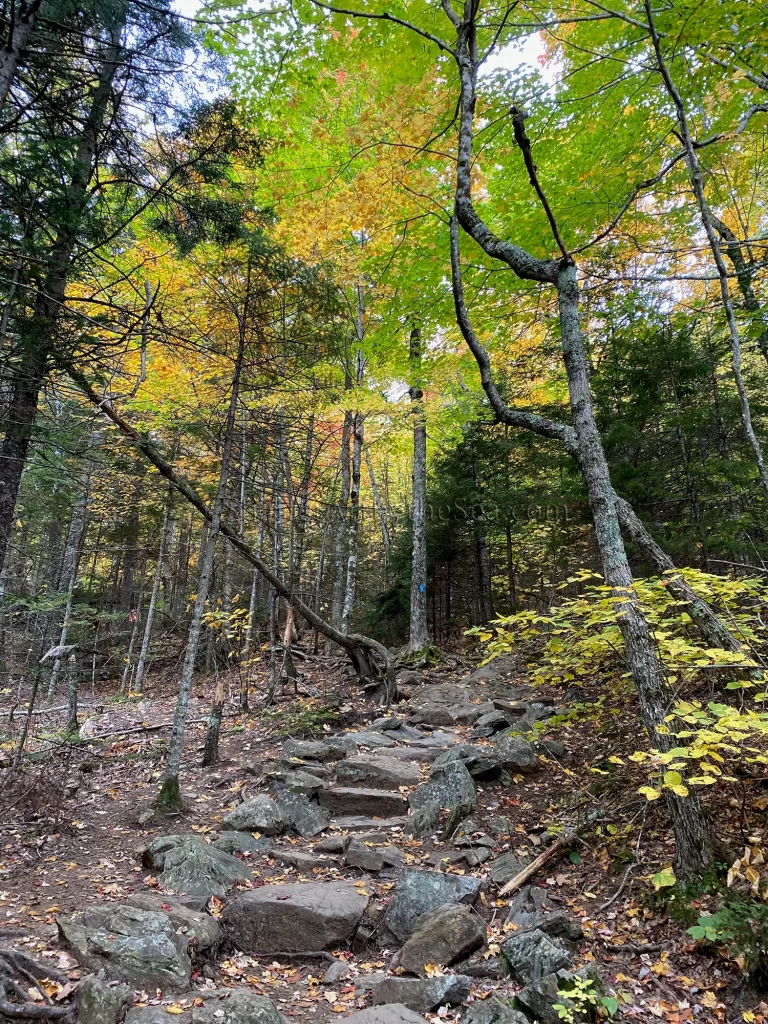 Mount Megunticook, Camden, Maine