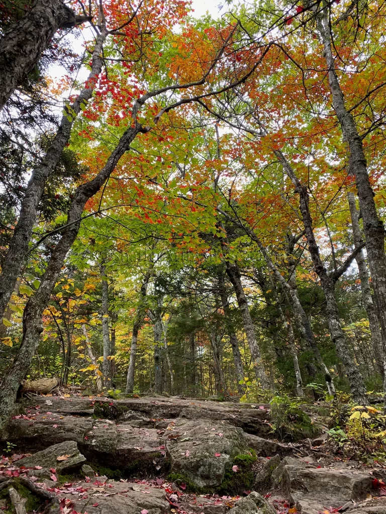 Mount Megunticook, Camden, Maine