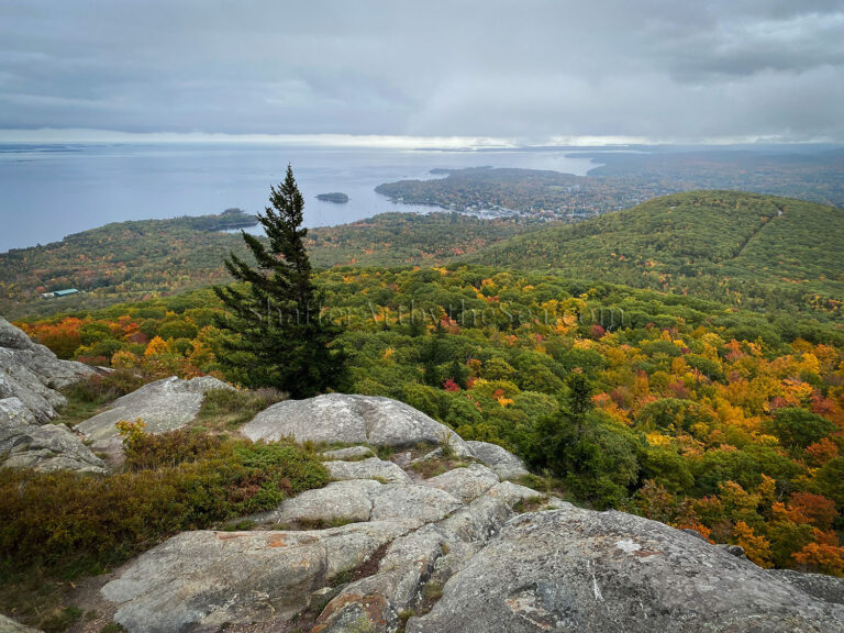 Read more about the article Fall Foliage Hike up Mount Megunticook