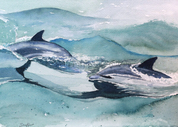 'Channel Islands Dolphins' plein air watercolor on Arches paper