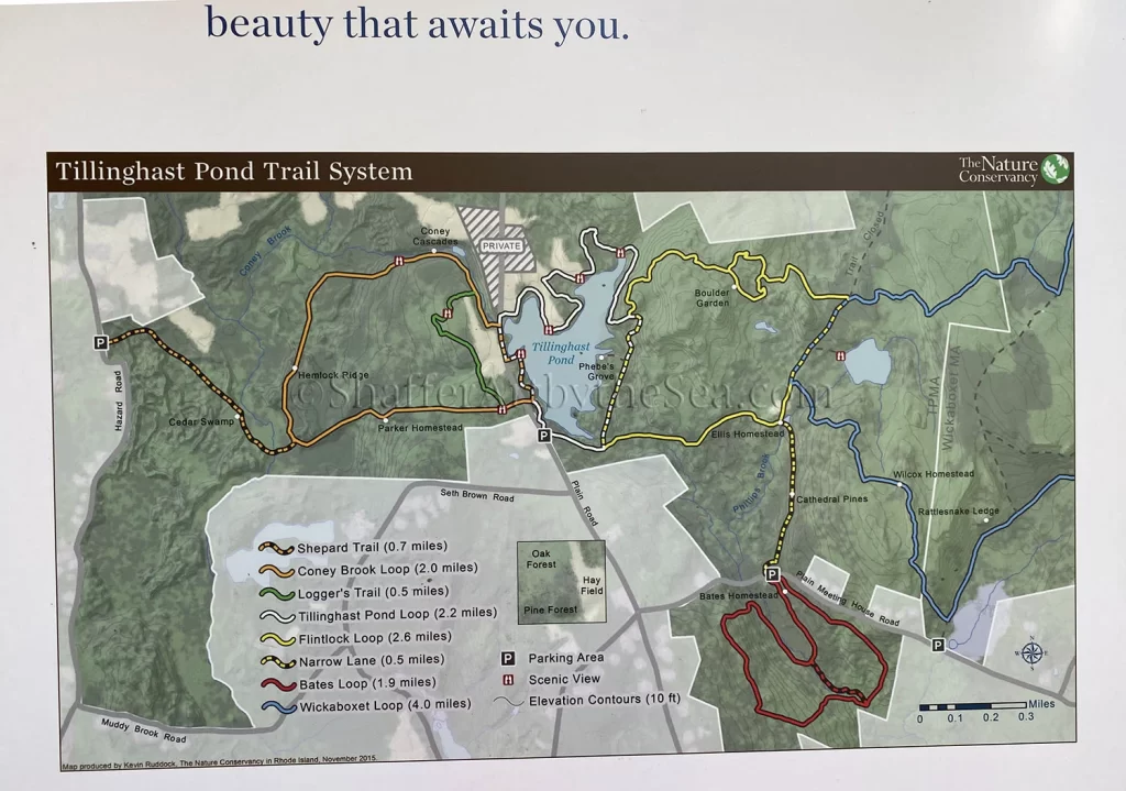 Tillinghast Pond Trail Map