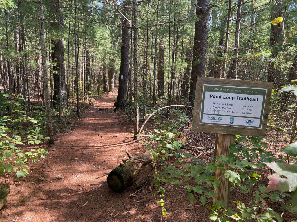 Welcome Sign