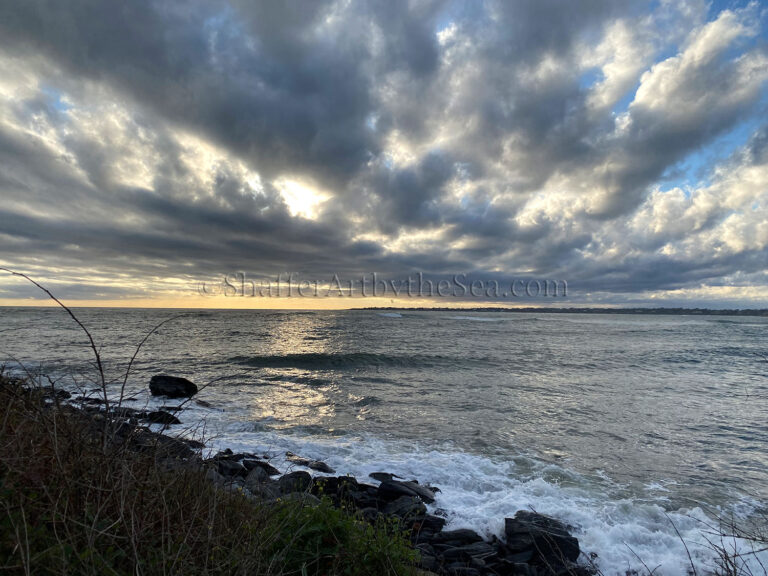 Read more about the article Sachuest Point National Wildlife Refuge