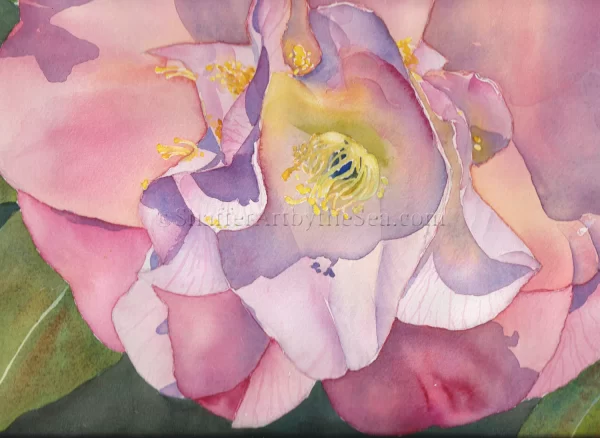 watercolor painting of pink Camellia flower