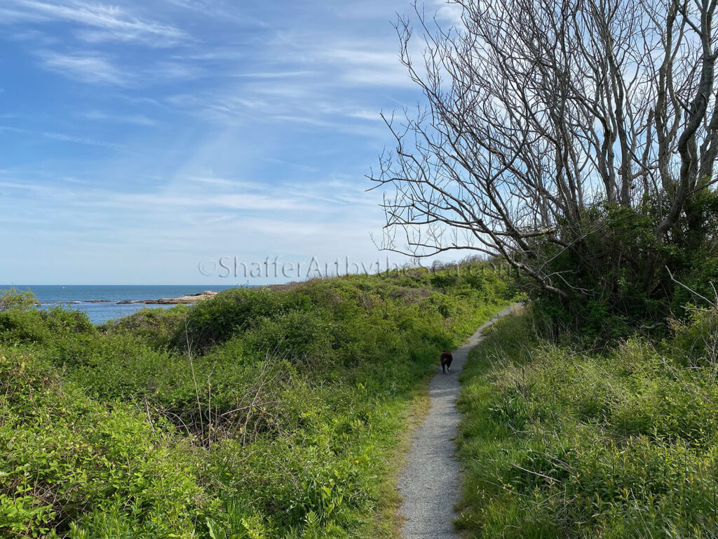 Loop Trail at Black Point