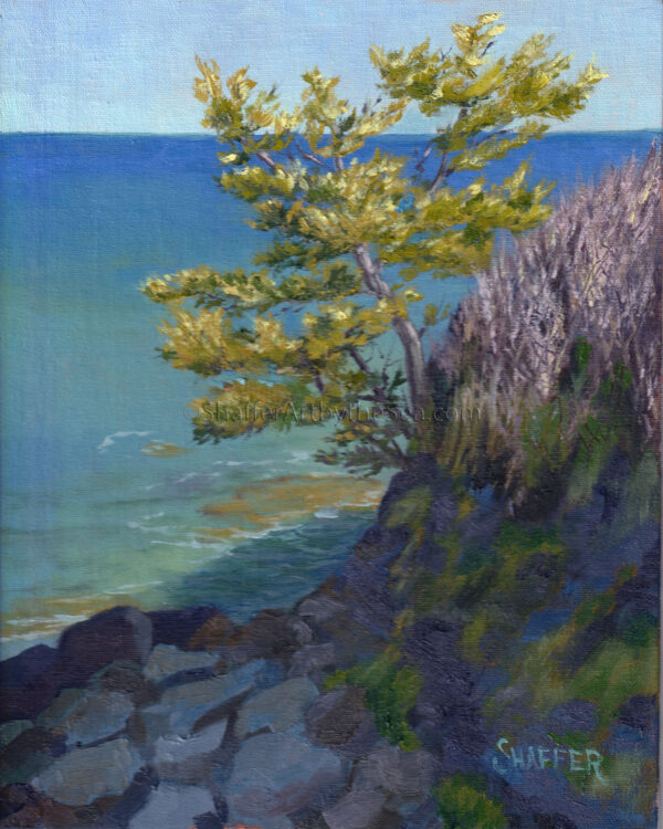 Landscape oil painting Cliff Walk, Newport, RI