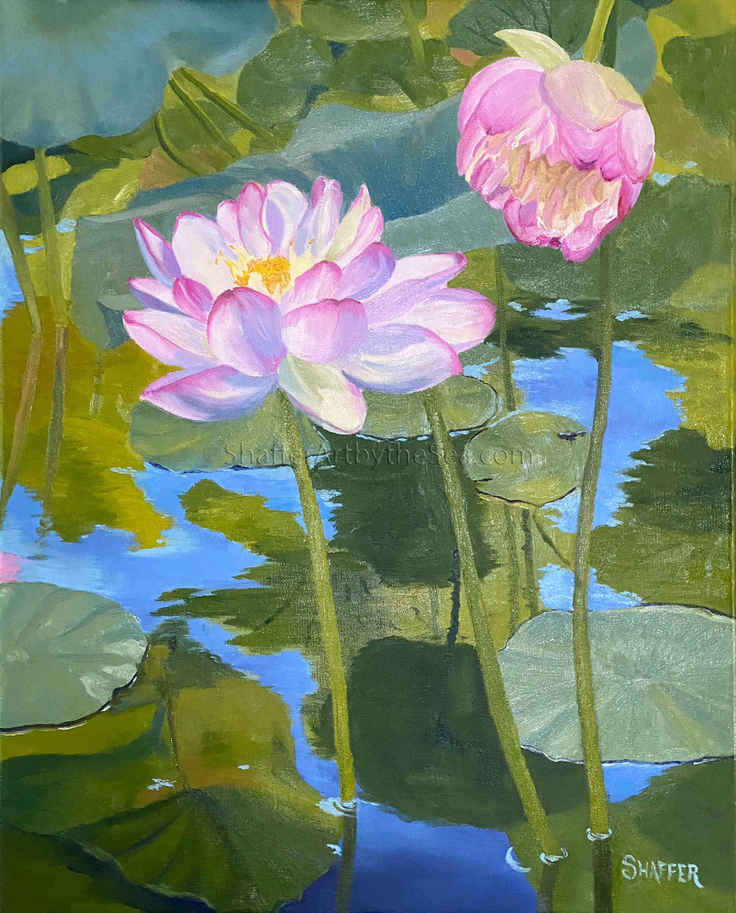 Wickford Lotus Pond 2022 - Shaffer Art by the Sea