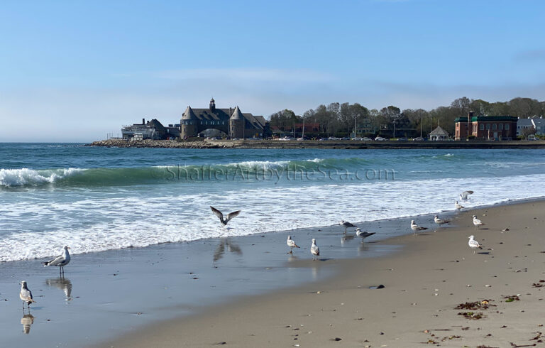 Read more about the article Best Ocean Views at Narragansett Town Beach