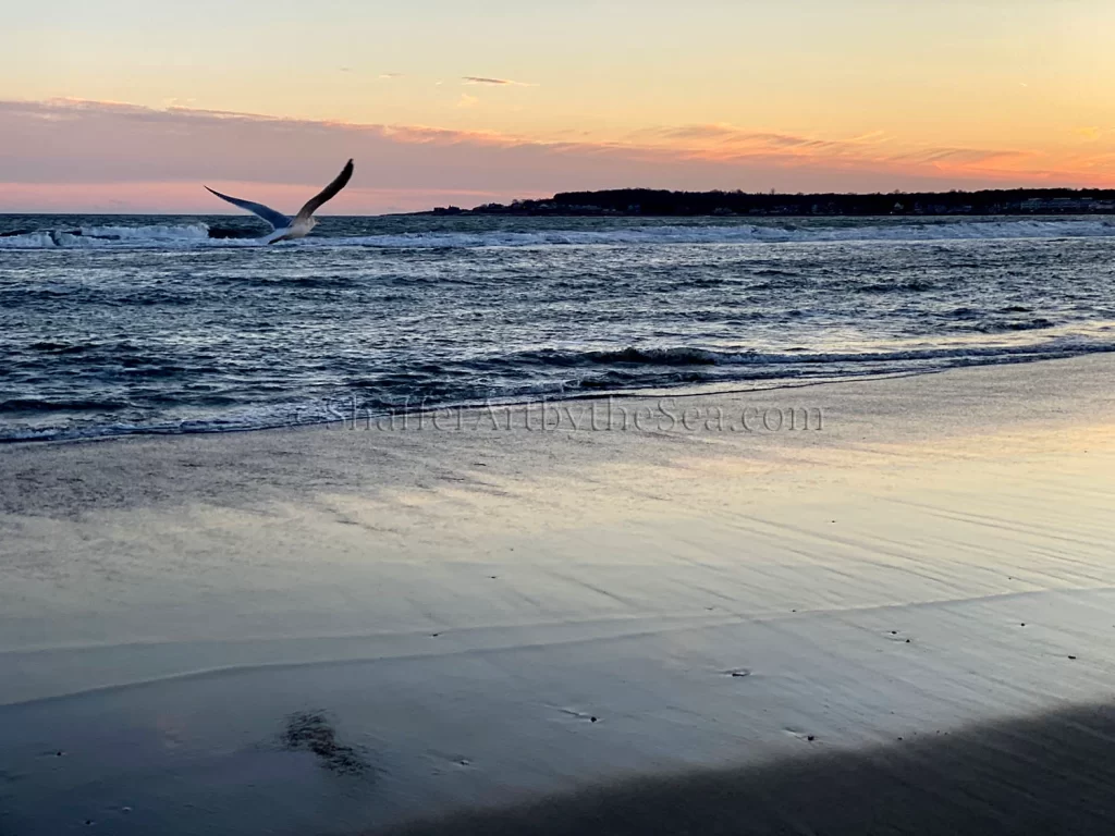 Narragansett Beach Sunset