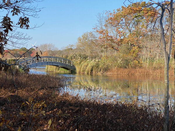 The view I was painting of Belleville Pond bridge at Ryan Park