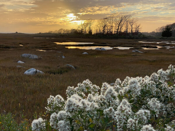 Sunset at Barn Island Management Area, Stonington, CT