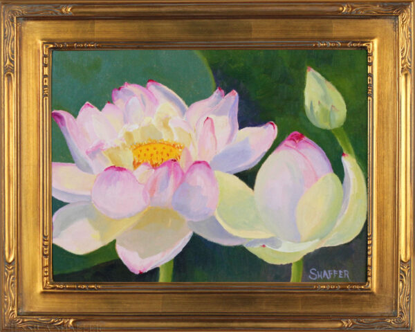 ‘Lotus Bud to Blossom’ plein air oil painting, 12 x 9 inches