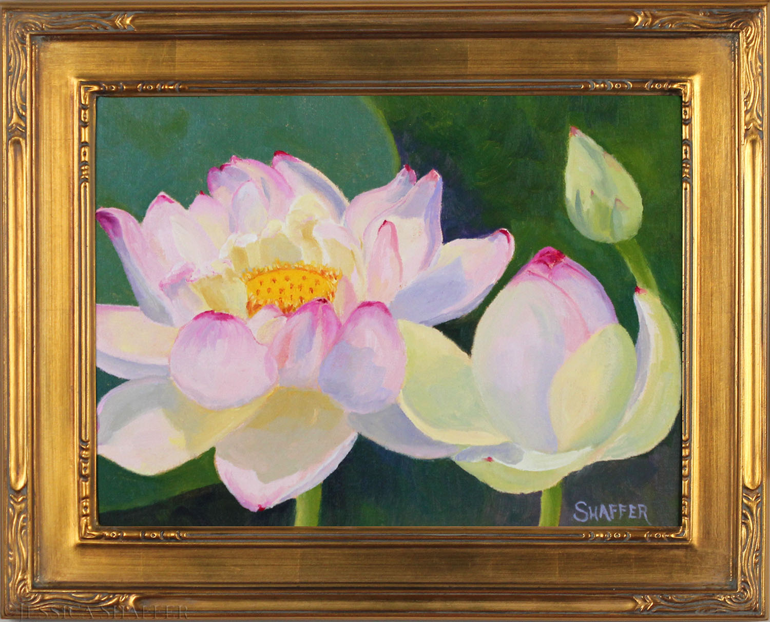 Lotus Bud to Blossom' plein air oil painting, 12 x 9 inches