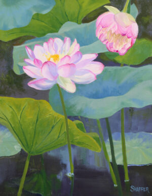 ‘Lotus Pond’ original oil painting, 16 x 20 inches