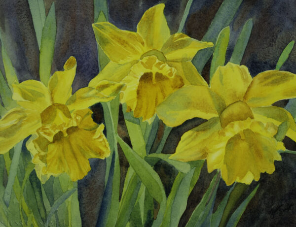 'Daffodil Sunshine', watercolor painting