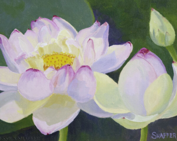 ‘Lotus Bud to Blossom’ plein air oil painting, 12 x 9 inches