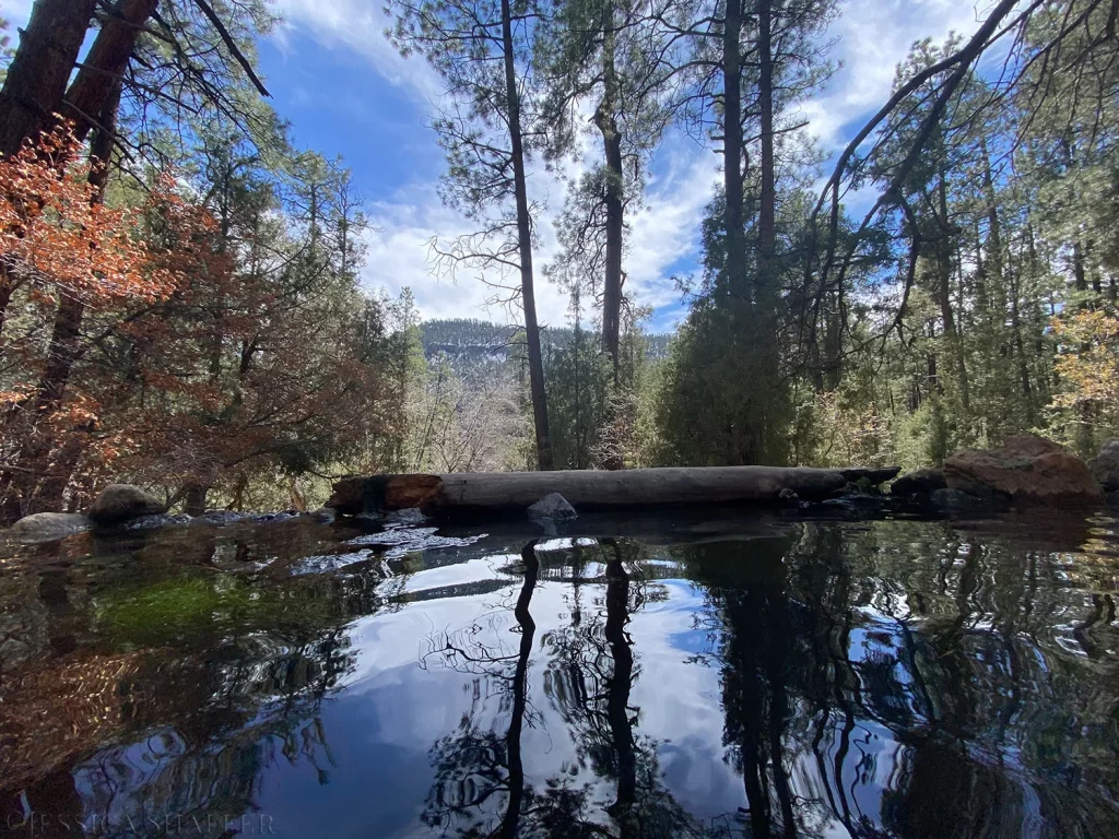 McCauley Hot Springs