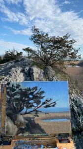 Plein air oil landscape painting of the coastal view from Hanging Rock at Norman Bird Sanctuary, Middletown, RI