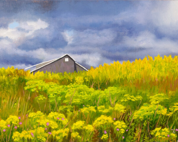 Golden Field Sachuest Point: landscape oil painting of Sachuest Wildlife Refuge | 11 x 14 in