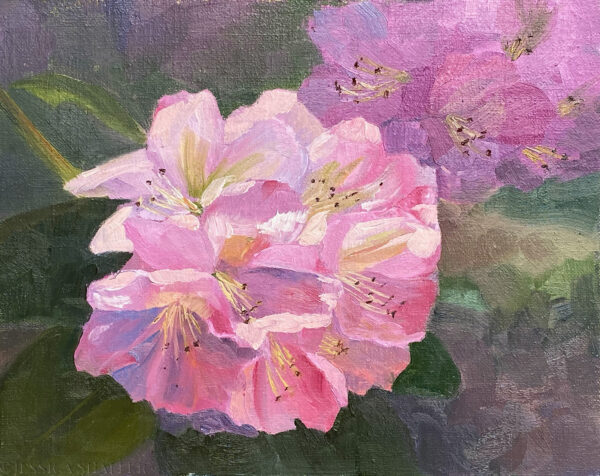 Small floral oil painting of sunlit pink rhododendron at Kinney Azalea Garden, Rhode Island