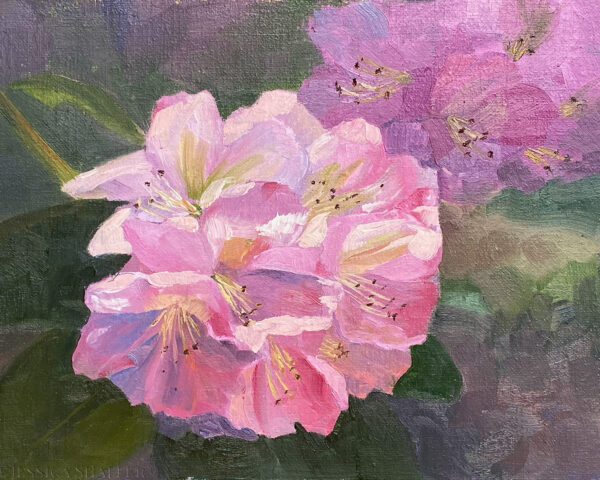 Sunlit Pink Rhododendron: floral painting of vibrant blooms | 8 x 10 in