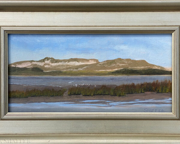 Eastern Shore Dunes: oil painting Chincoteague, VA | 6 x 12 in